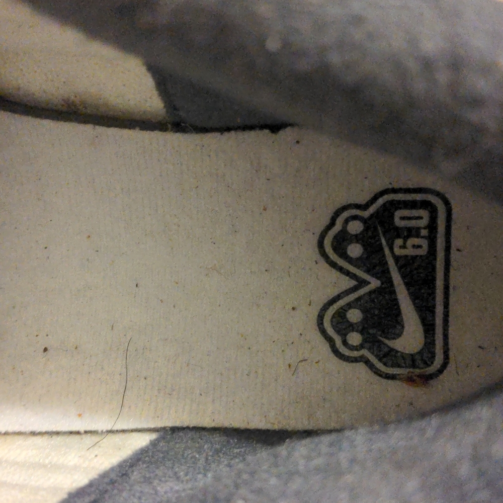 NIKE 6.0 MORGAN SB SHOE